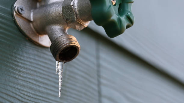 Best Leak Detection Services  in Schofield Barracks, HI